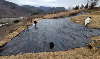 성훈경님의 감 · 자유게시판 작성글 사진