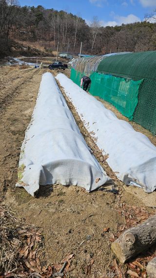 이도상님의 3월 농사 계획 같이해요 · 참여글 작성글 사진