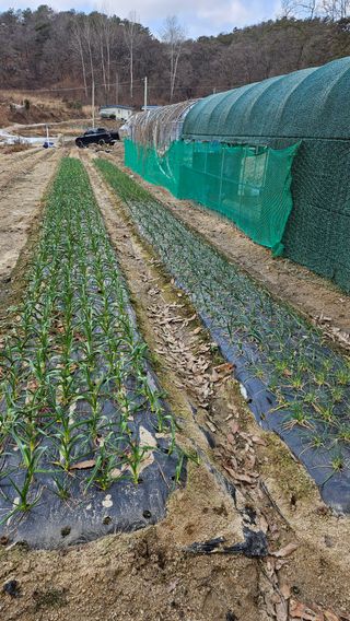 이도상님의 3월 농사 계획 같이해요 · 참여글 작성글 사진