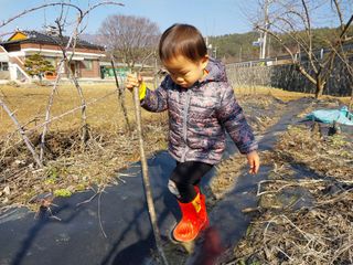 금동이네님의 3월 농사 계획 같이해요·참여글 작성글 사진