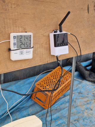 태풍한가름님의 고추 · 파종•정식 작성글 사진