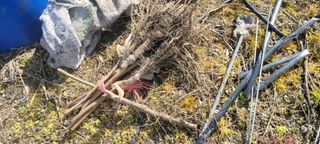 이동훈님의 감 · 자유게시판 작성글 사진