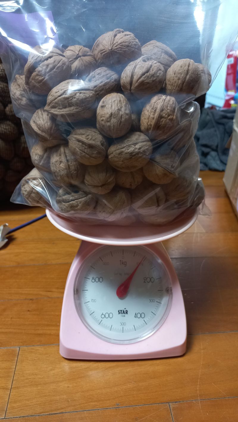 장터 상품 [국산호두 5kg 5만원 ] 썸네일