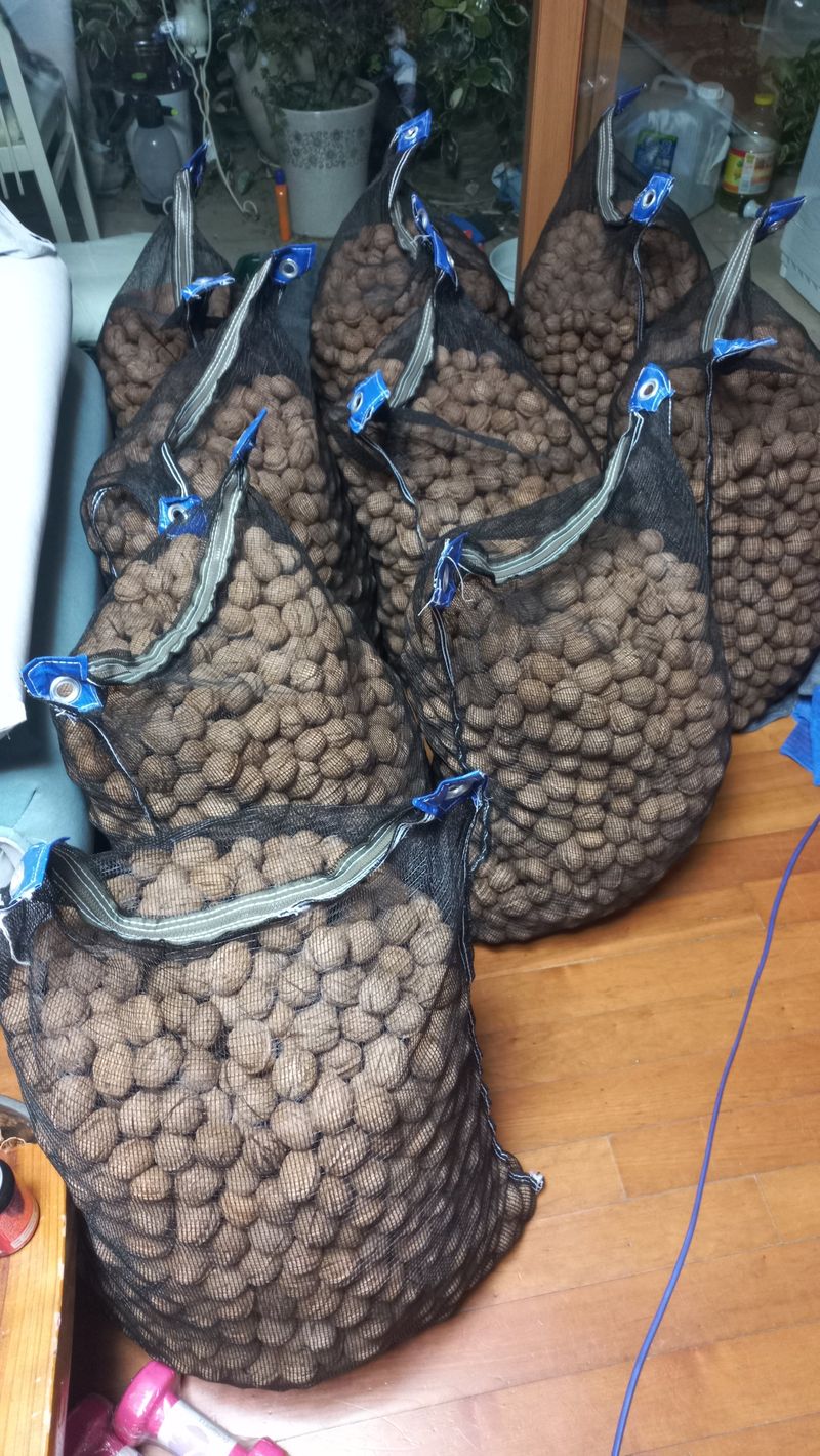 김노형님의 장터 판매 상품 [국산호두 5kg 5만원 ] 첨부 사진