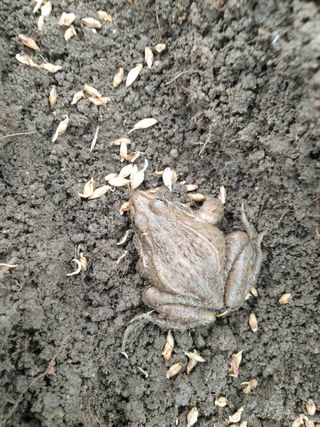 허굴산농장님의 기타작물 · 자유게시판 작성글 사진