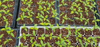 우미경님의 자유주제 · 자유게시판 작성글 사진