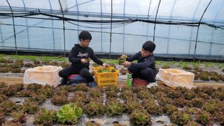 안경자님의 3월 농사 계획 같이해요·참여글 작성글 사진