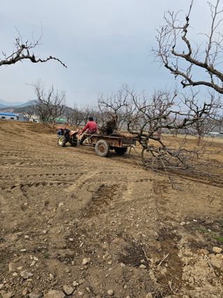 배성은365님의 3월 농사 계획 같이해요·참여글 작성글 사진
