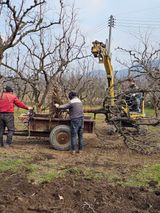 배성은365님의 3월 농사 계획 같이해요·참여글 작성글 사진