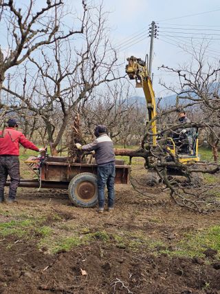 배성은365님의 3월 농사 계획 같이해요 · 참여글 작성글 사진