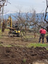 배성은365님의 3월 농사 계획 같이해요·참여글 작성글 사진