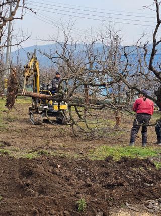 배성은365님의 3월 농사 계획 같이해요 · 참여글 작성글 사진