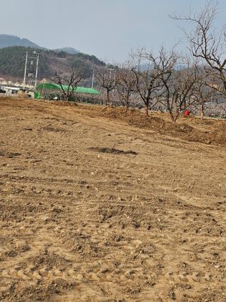 배성은365님의 3월 농사 계획 같이해요 · 참여글 작성글 사진