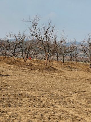배성은365님의 3월 농사 계획 같이해요 · 참여글 작성글 사진