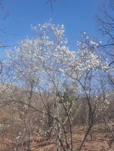 팜모닝 자유주제·자유게시판 게시글 이미지