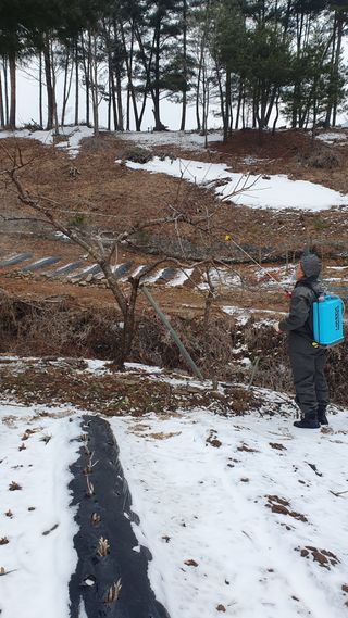 인생은 소풍처럼님의 3월 농사 계획 같이해요·참여글 작성글 사진