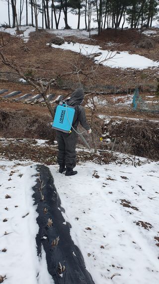 인생은 소풍처럼님의 3월 농사 계획 같이해요 · 참여글 작성글 사진