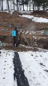 인생은 소풍처럼님의 3월 농사 계획 같이해요·참여글 작성글 사진