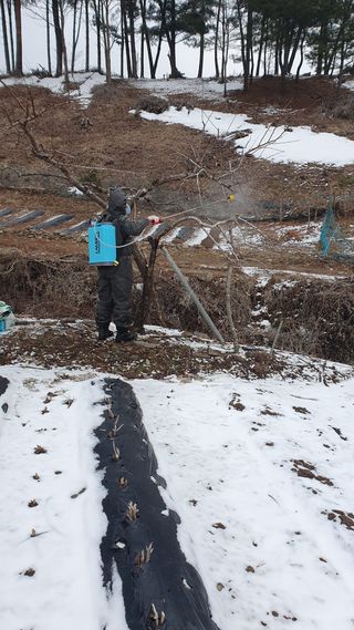 인생은 소풍처럼님의 3월 농사 계획 같이해요 · 참여글 작성글 사진