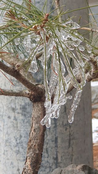 인생은 소풍처럼님의 3월 농사 계획 같이해요 · 참여글 작성글 사진