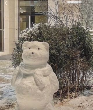 인생은 소풍처럼님의 3월 농사 계획 같이해요 · 참여글 작성글 사진