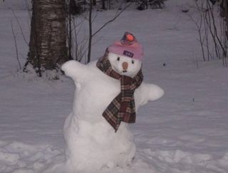 인생은 소풍처럼님의 3월 농사 계획 같이해요 · 참여글 작성글 사진