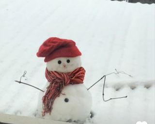 인생은 소풍처럼님의 3월 농사 계획 같이해요 · 참여글 작성글 사진