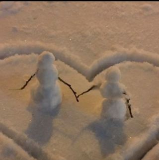 인생은 소풍처럼님의 3월 농사 계획 같이해요 · 참여글 작성글 사진