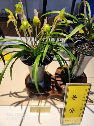 야산 양 형근님의 자유주제 · 사진전 작성글 사진