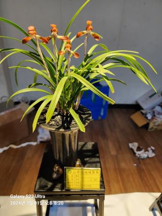 야산 양 형근님의 자유주제 · 사진전 작성글 사진