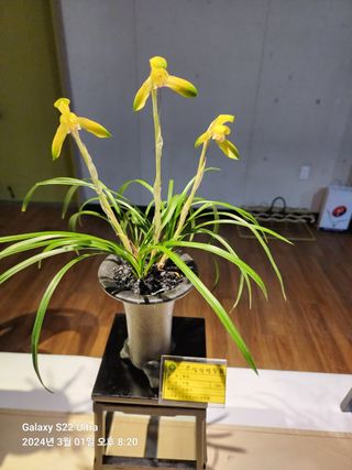 야산 양 형근님의 자유주제 · 사진전 작성글 사진