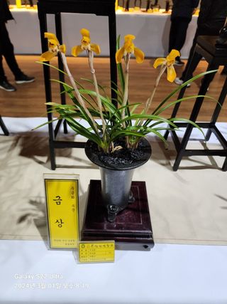 야산 양 형근님의 자유주제 · 사진전 작성글 사진