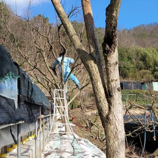 서녕영더기님의 3월 농사 계획 같이해요·참여글 작성글 사진