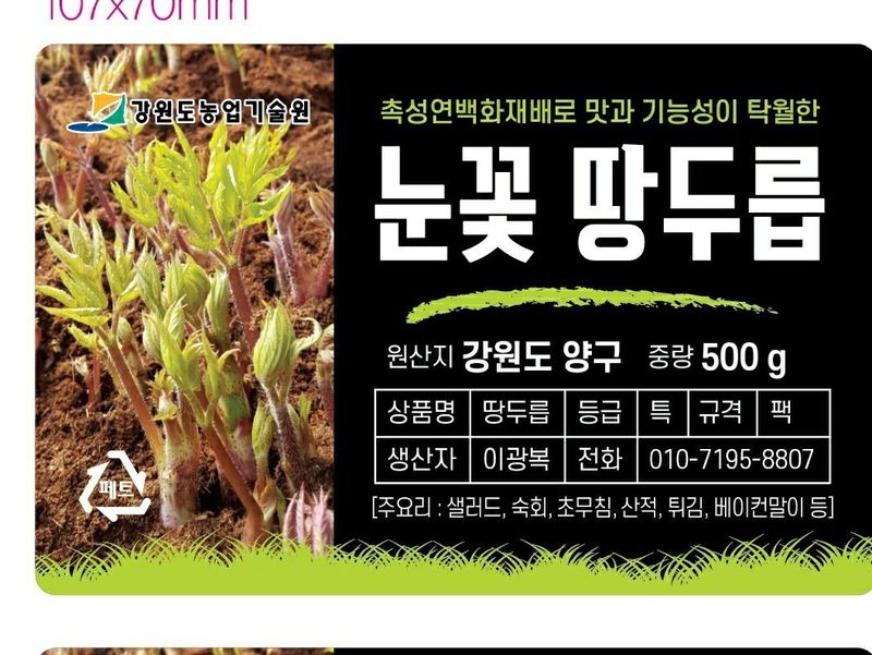 병풍취산채농원님의 장터 판매 상품 [울릉도산마늘] 첨부 사진
