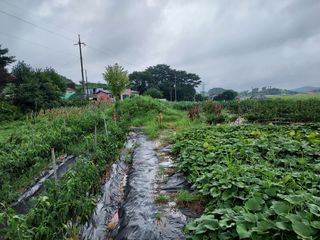 Joosoungso님의 팜모닝 · 출석 작성글 사진