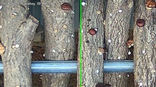 맥문동 천문동님의 농사, 무엇이든 물어보세요! · 참여글 작성글 사진