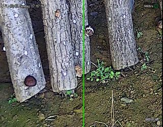 맥문동 천문동님의 농사, 무엇이든 물어보세요! · 참여글 작성글 사진