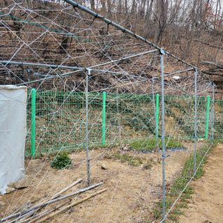 이창화님의 기타작물 · 자유게시판 작성글 사진