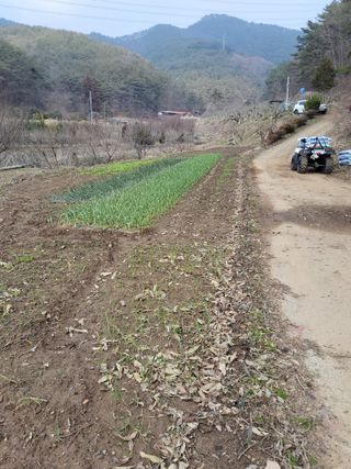 이일수님의 3월 농사 계획 같이해요 · 참여글 작성글 사진