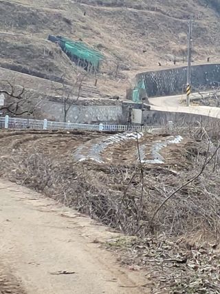 이일수님의 3월 농사 계획 같이해요 · 참여글 작성글 사진