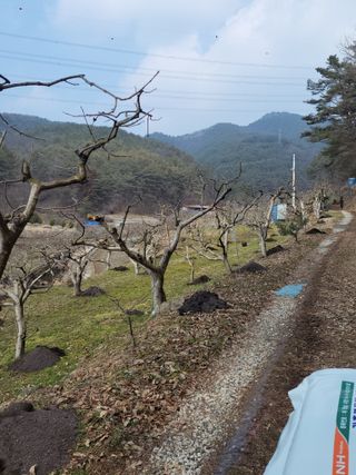 이일수님의 3월 농사 계획 같이해요 · 참여글 작성글 사진