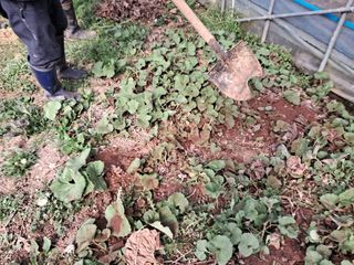 최한기님의 3월 농사 계획 같이해요·참여글 작성글 사진