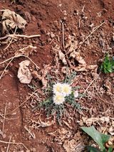 최한기님의 3월 농사 계획 같이해요·참여글 작성글 사진