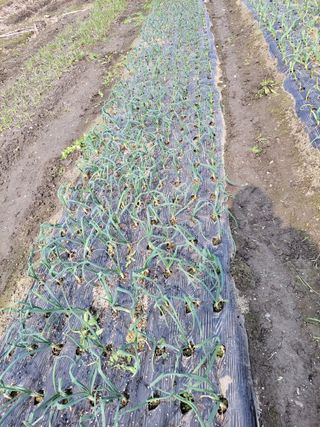 우영옥님의 자유주제 · 자유게시판 작성글 사진