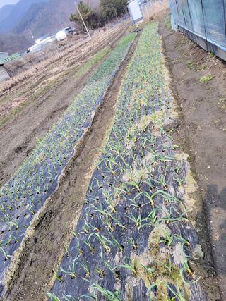 우영옥님의 자유주제 · 자유게시판 작성글 사진