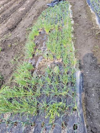 우영옥님의 자유주제 · 자유게시판 작성글 사진