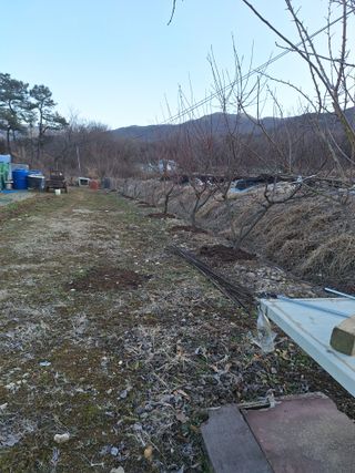 희원님의 감자 · 자유게시판 작성글 사진