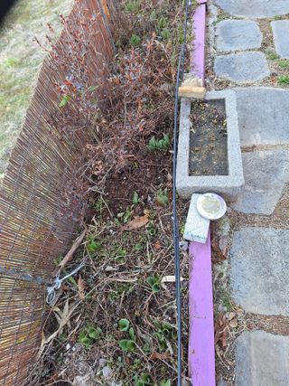 희원님의 감자 · 자유게시판 작성글 사진