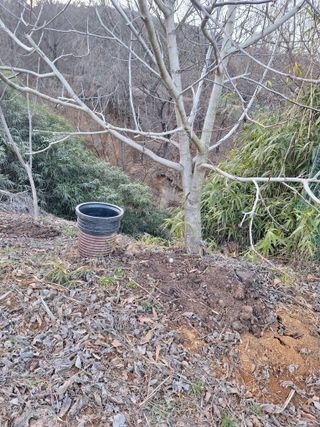 희원님의 감자 · 자유게시판 작성글 사진