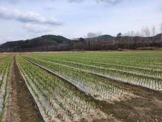 이현숙님의 3월 농사 계획 같이해요 · 참여글 작성글 사진